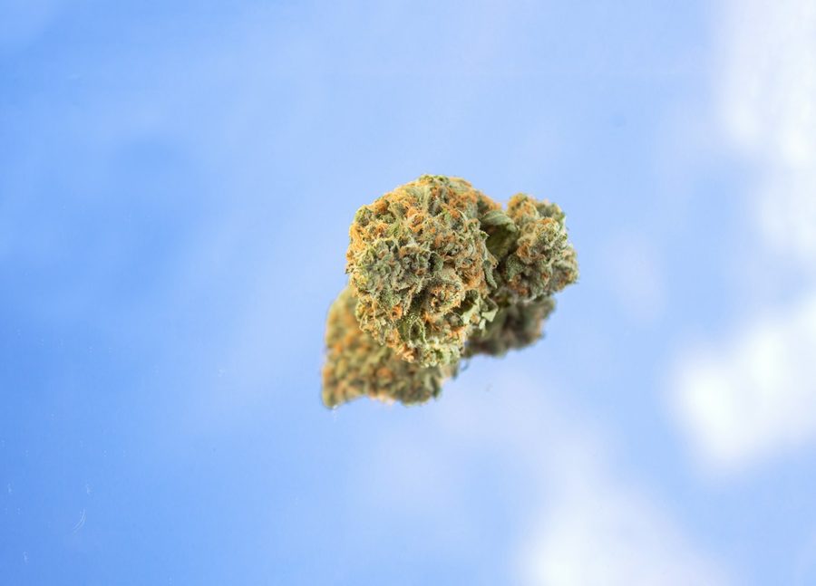 Cannabis accessories and rolling supplies